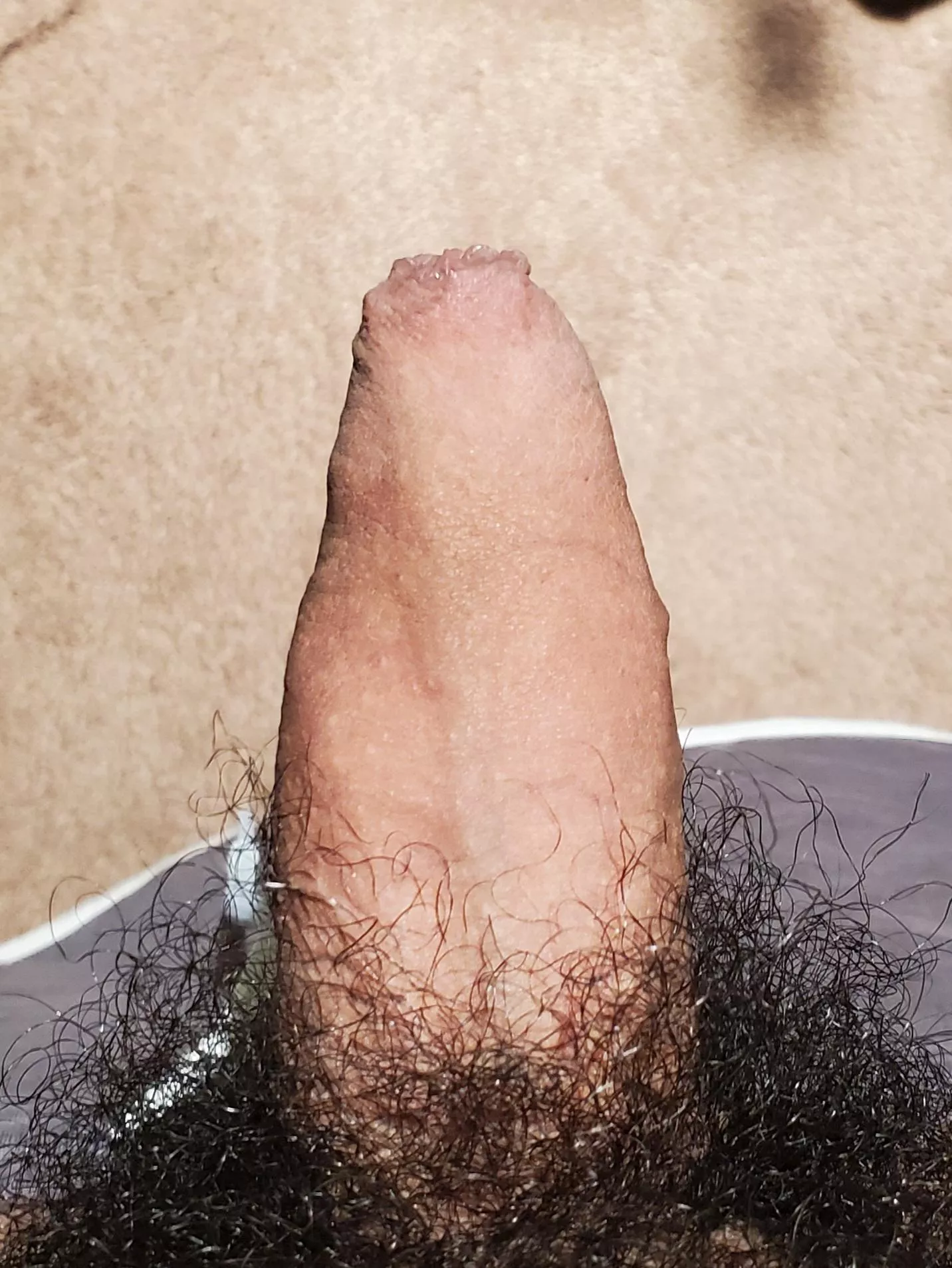 What do you think of my bush What do you think of my bush