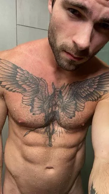 What do you think of my chest piece ? What do you think of my chest piece ?