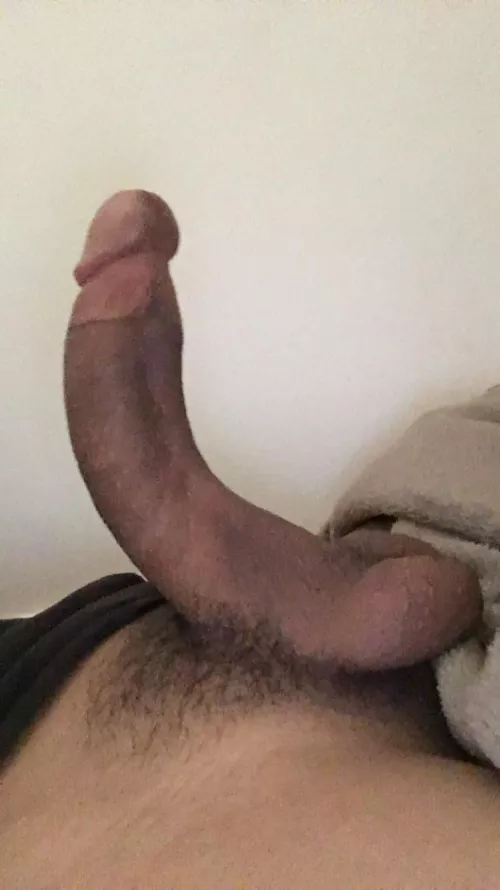 What do you think of my dick๐