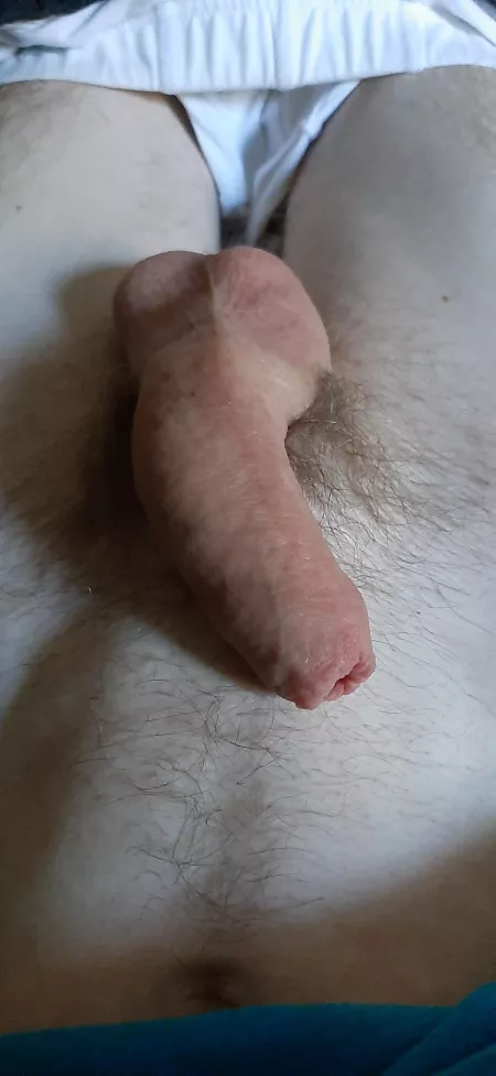 What do you think of my little softie?