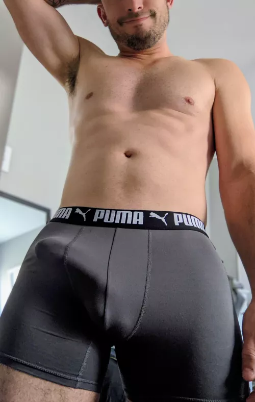 What do you think of my new briefs?