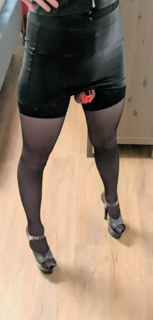 What do you think of my new cage?
