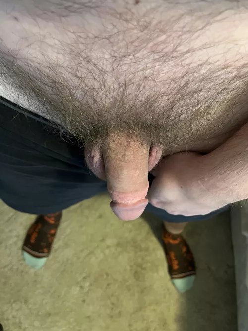 What do you think of my socks?