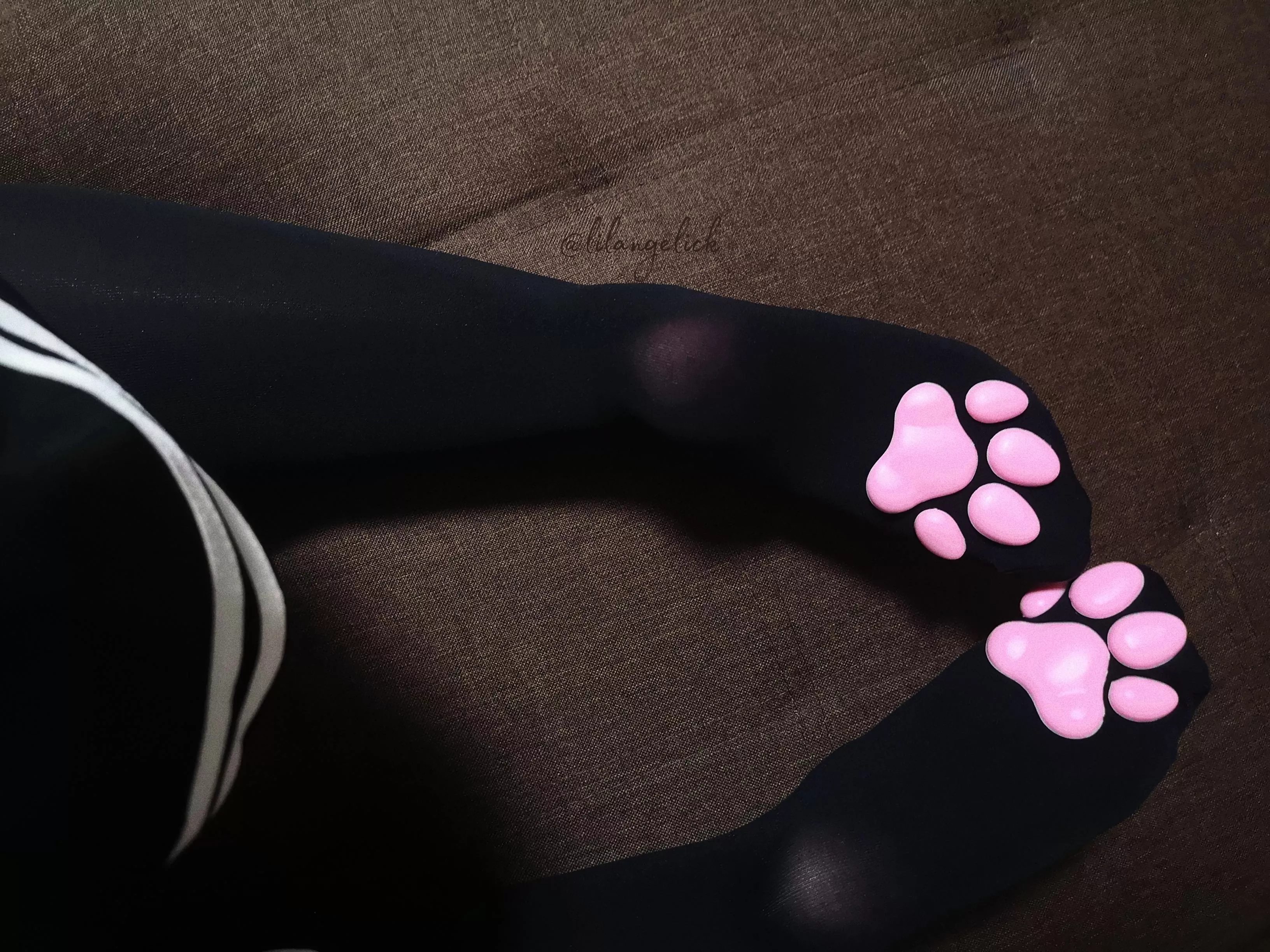 What do you think of my socks? What do you think of my socks?
