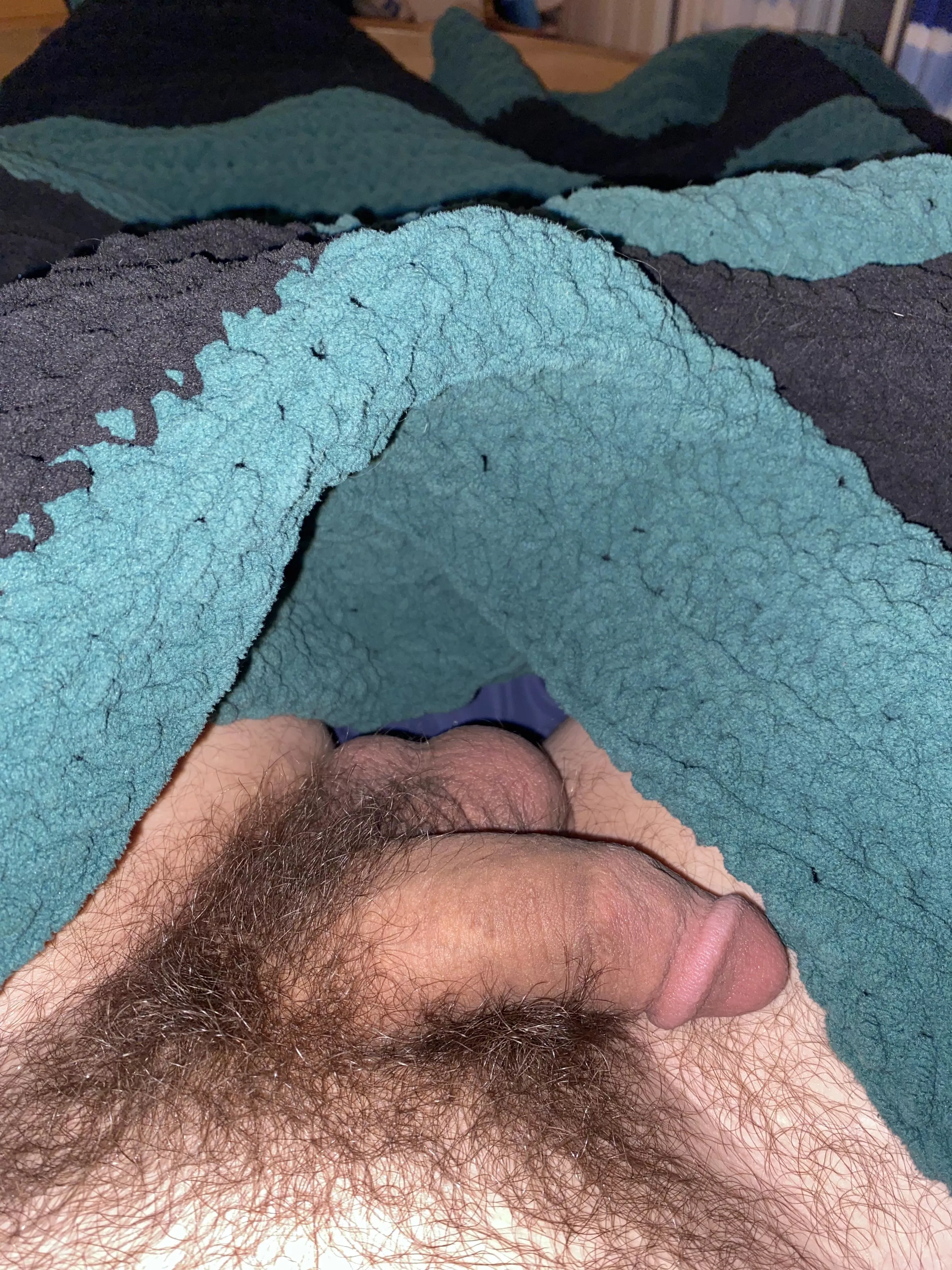 What do you think…should I shave?