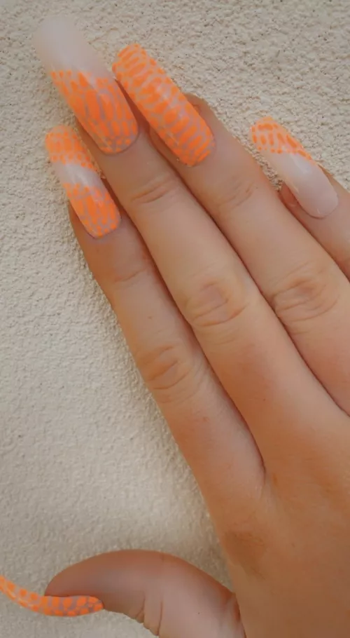 What do you want me to do first