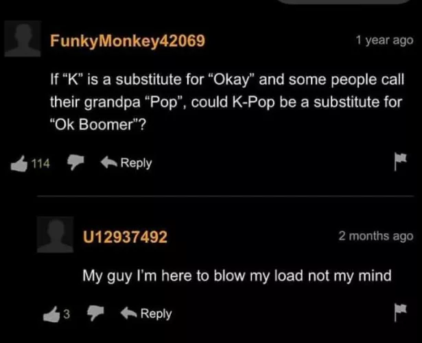 What has Pornhub comments even become ?