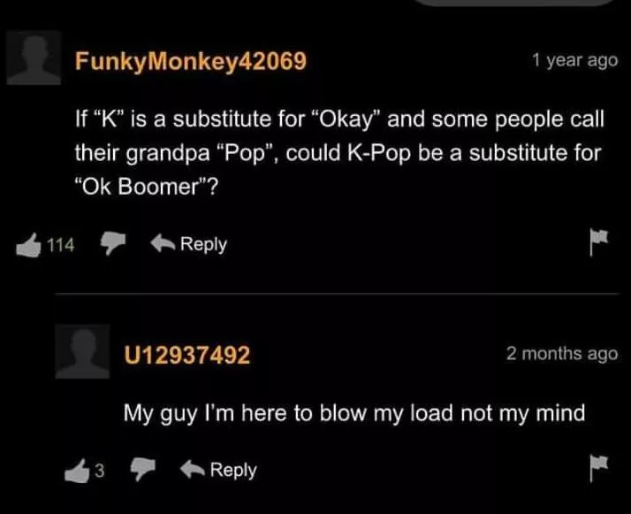 What has Pornhub comments even become ?