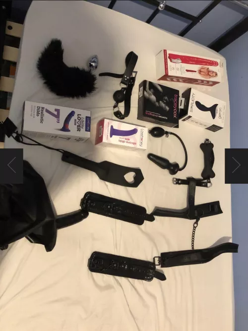 What toy should I get next?