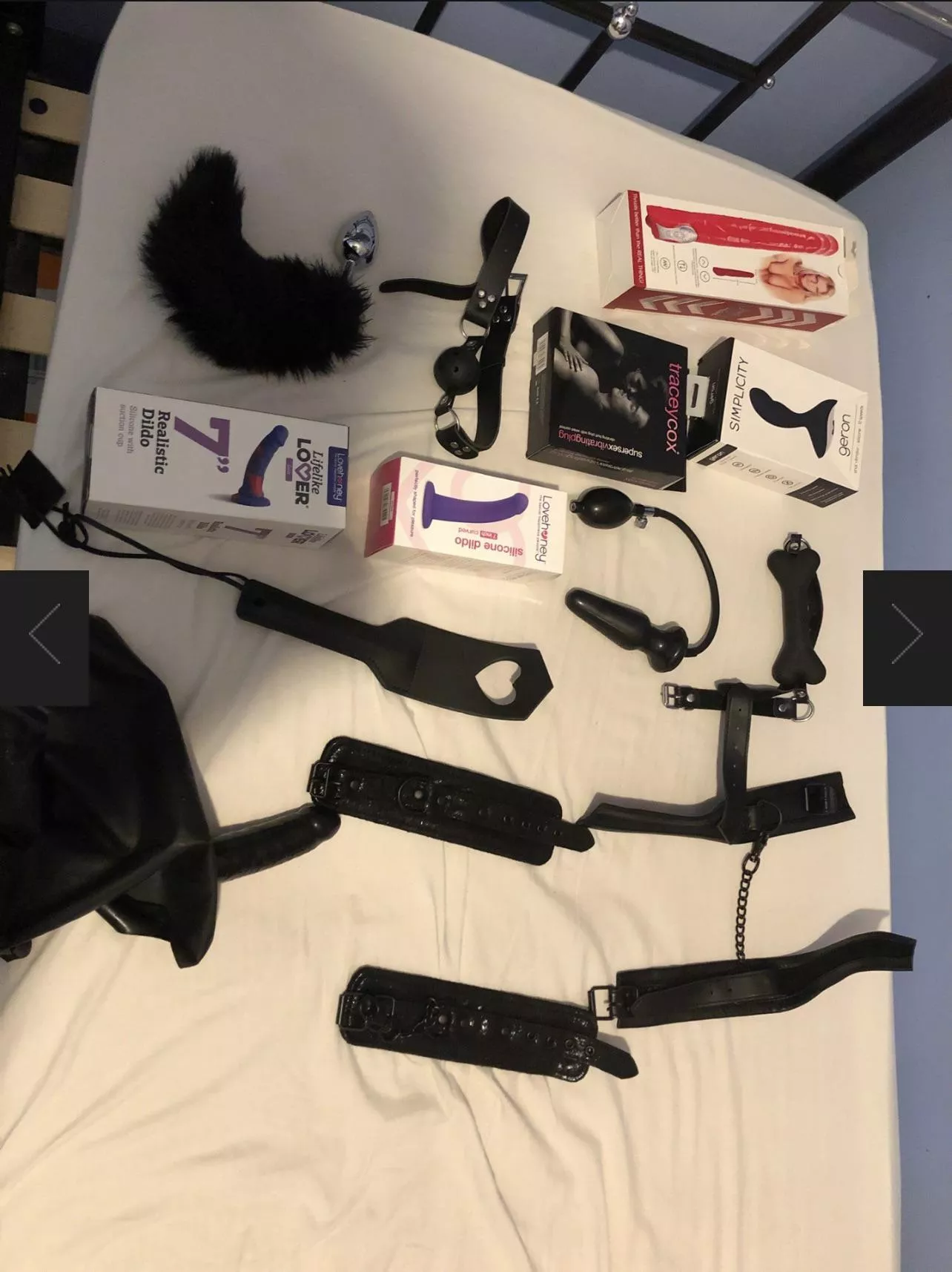 What toy should I get next?