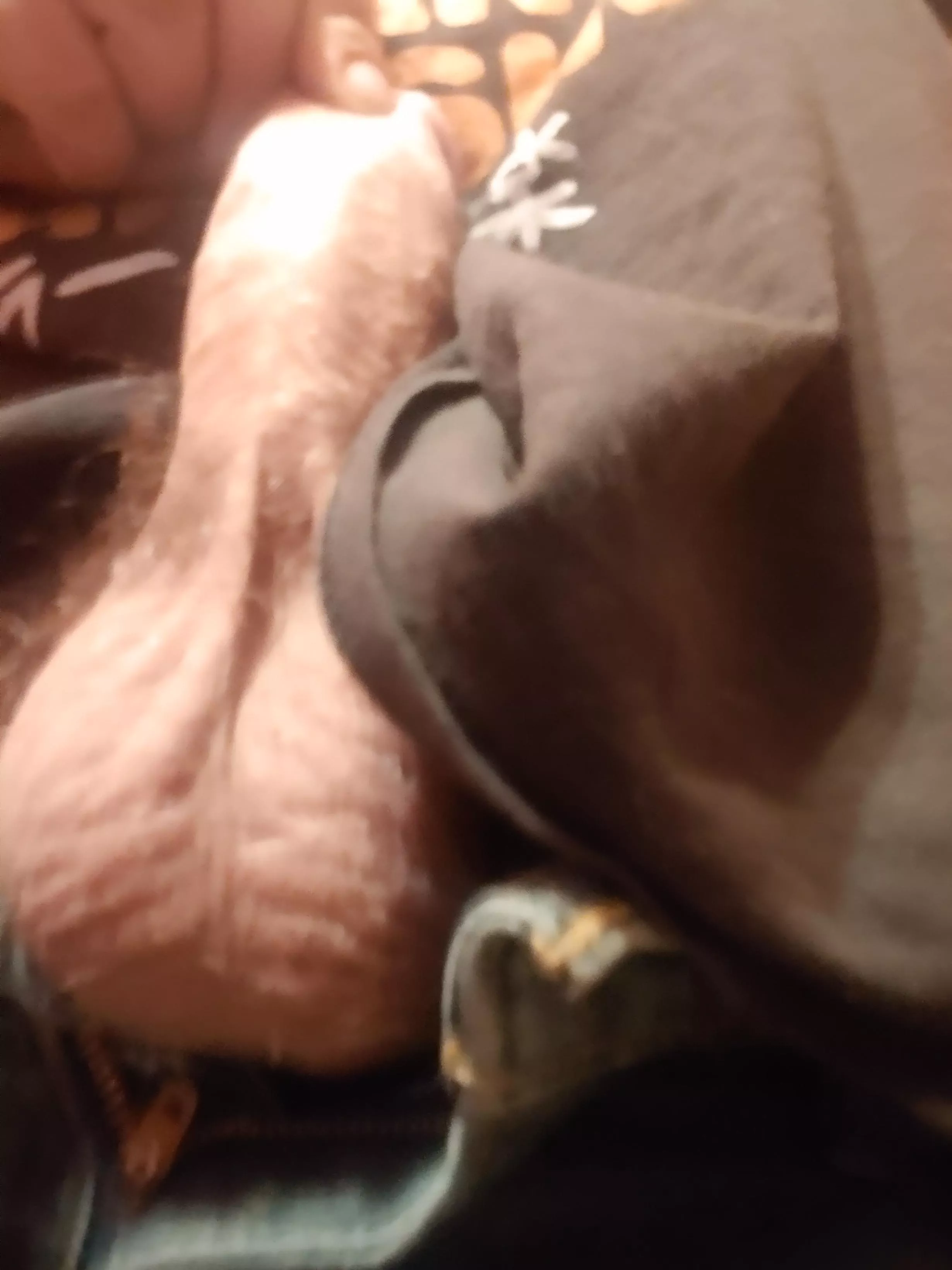 What would you do What would you do