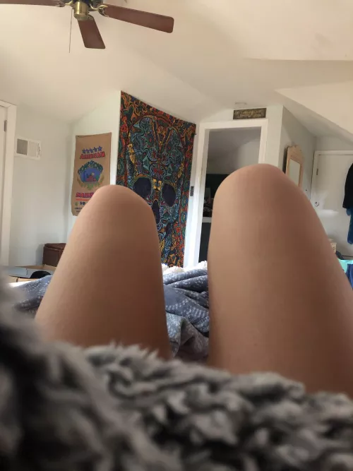 What would you do if you were cuddled up in this blanket with me?