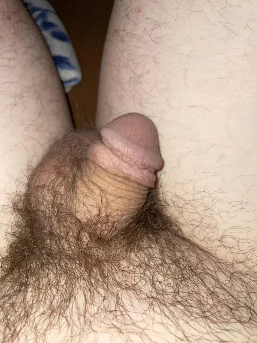 Whatcha think about this guy? [25]