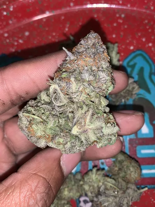 What’s everyone smoking on this Sunday funday? Strain: X-13 (M)
