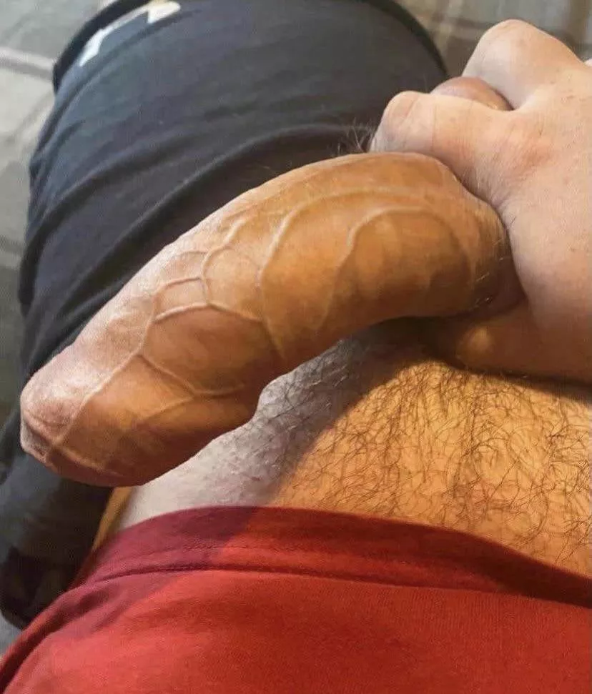 What’s everyone think?