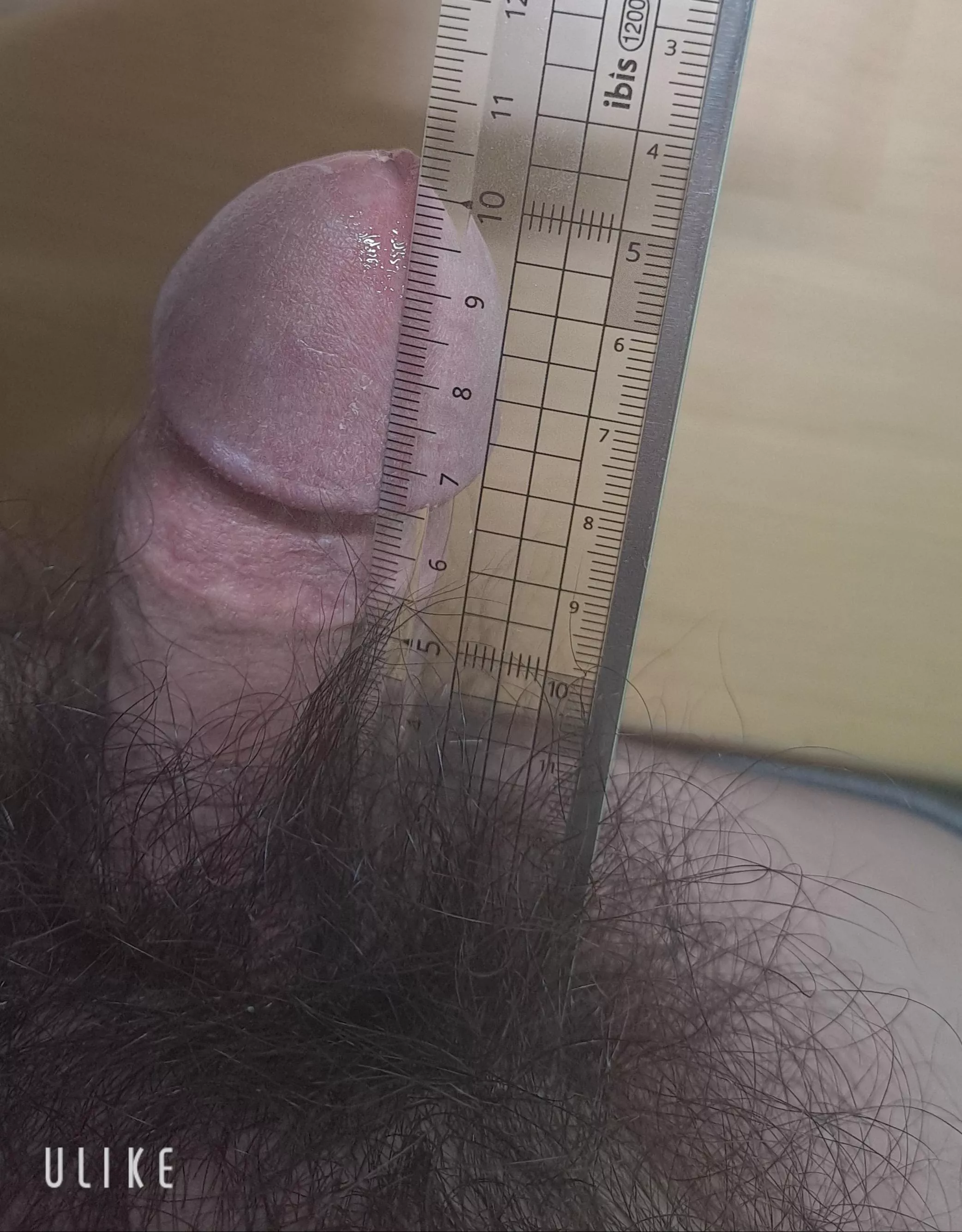 When an adian dick is fully hard😉