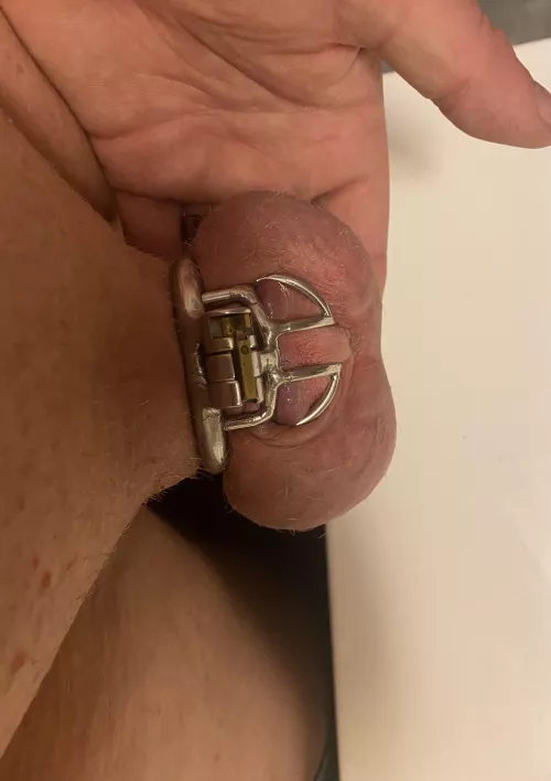 When my wife told me she had a reward for me this wasn’t what I had in mind. Smaller cage, smaller ring. 😩