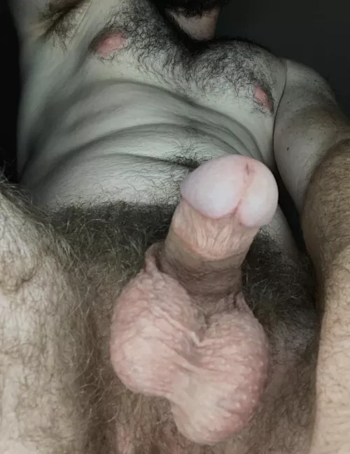 Where can I set this?