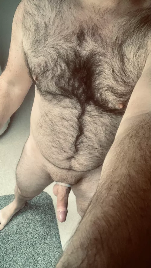 Where my fellow kinksters who want to share depraved fantasies. Submissive bear here.