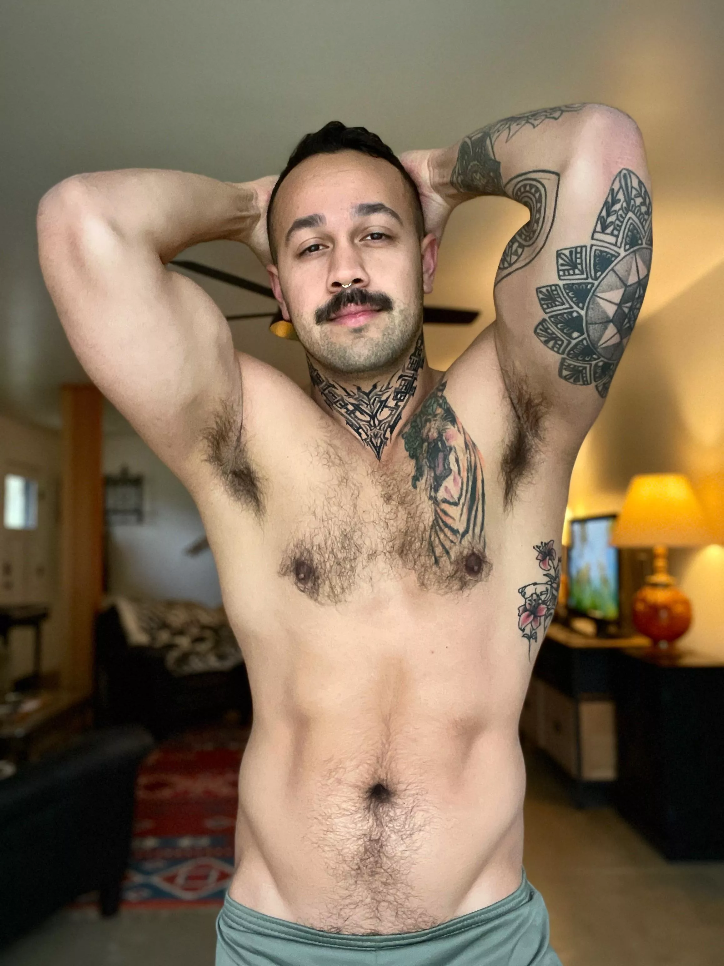 Where my pit pigs at?