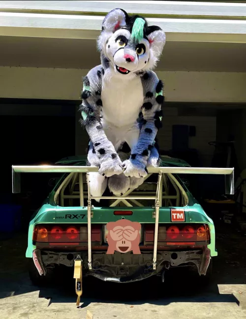 Where’s my spray bottle…OFF THE CAR