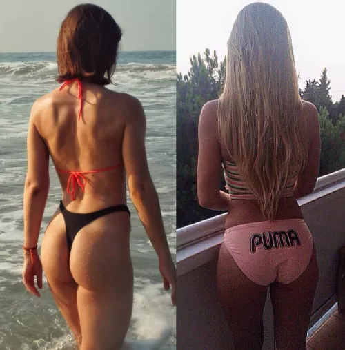 Which Ass?