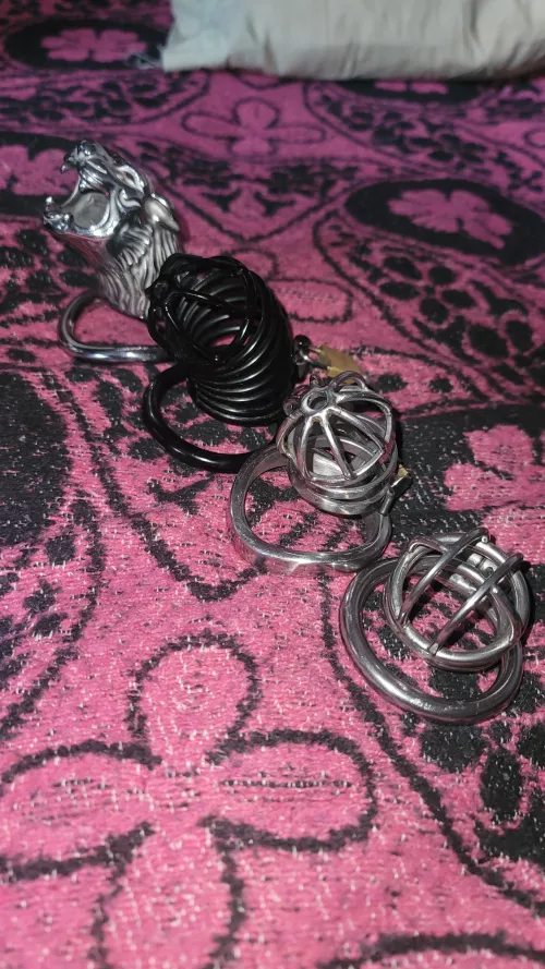 Which cage do you guys like best? Or do you want a demonstration of each one then decide?