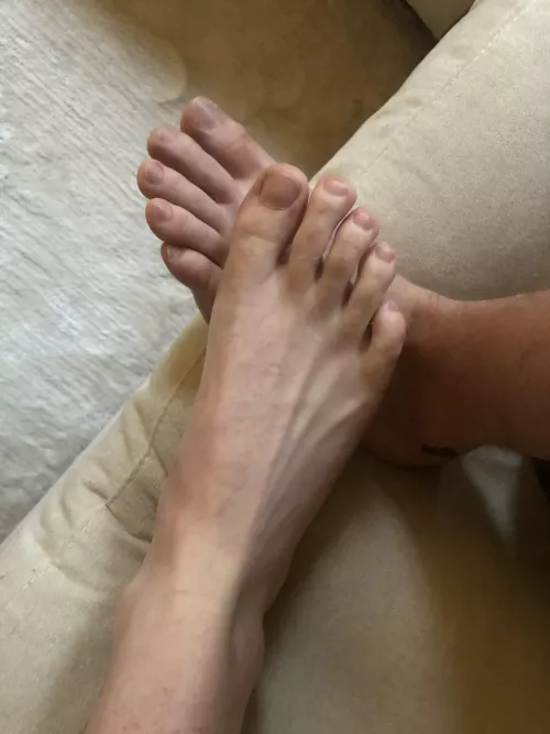 Which foot pig is gonna come rub our feet? 😈size 9.5 an size 11 here 😈