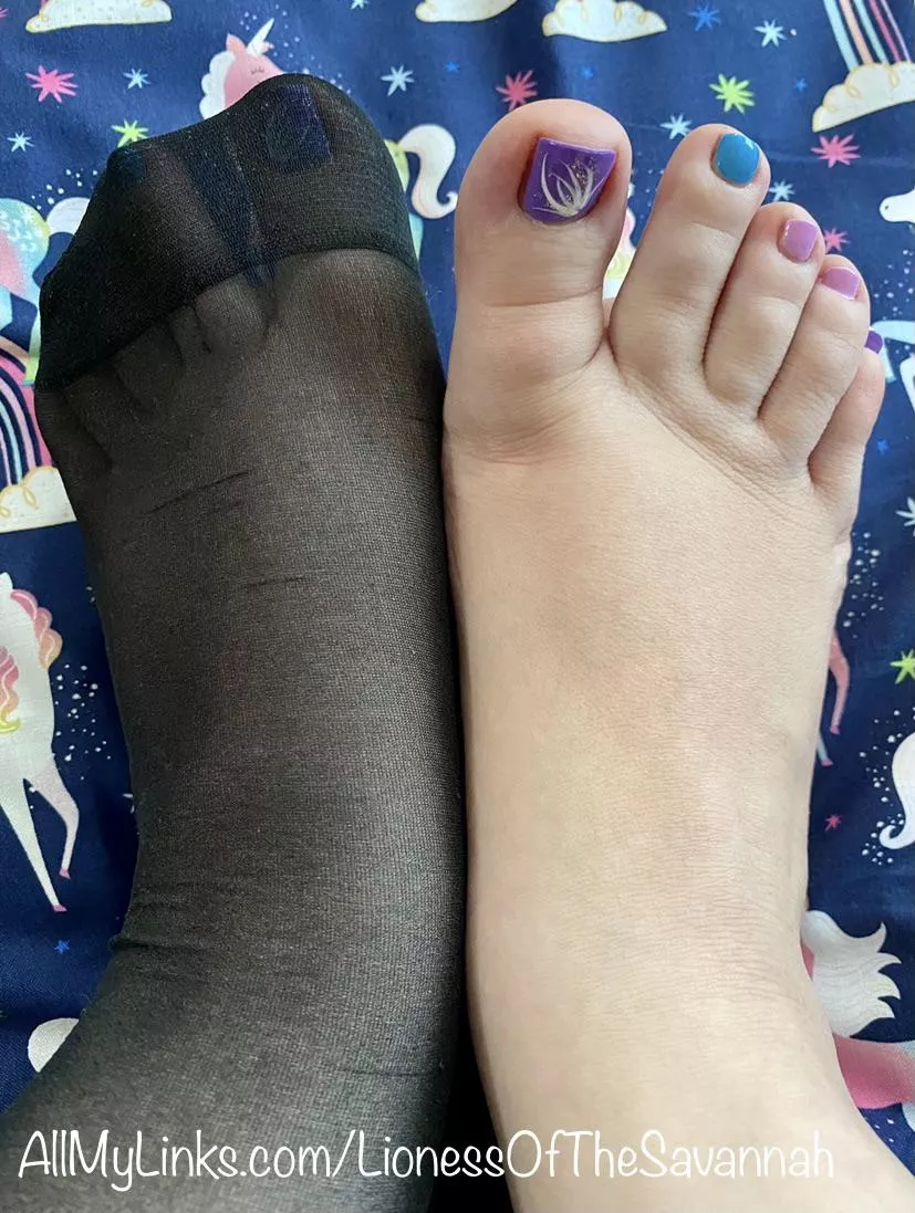 Which is better? My freshly done multicolored toes or my feet in nylon socks?! 😜 Which is better? My freshly done multicolored toes or my feet in nylon socks?! 😜