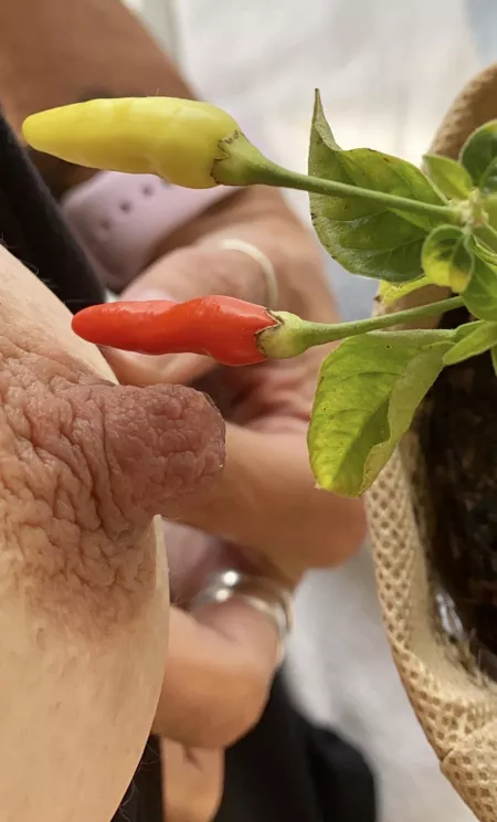 Which is hotter? (F)46