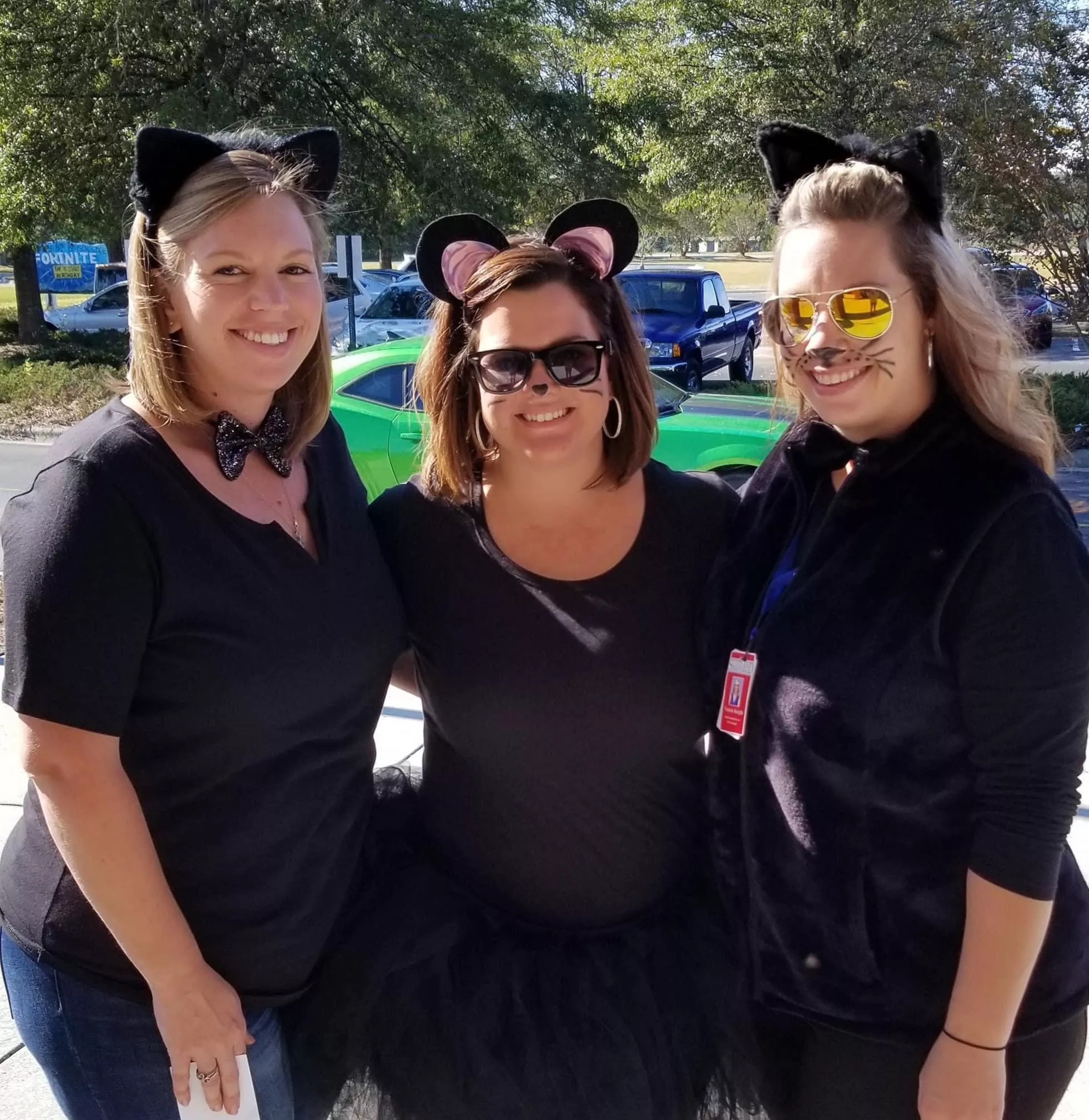 Which kitten is getting your catnip? 🐈⬛🖤 Which kitten is getting your catnip? 🐈⬛🖤