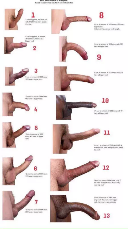 Which one are you?
