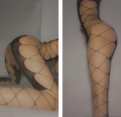 Which position would you rather breed me in π