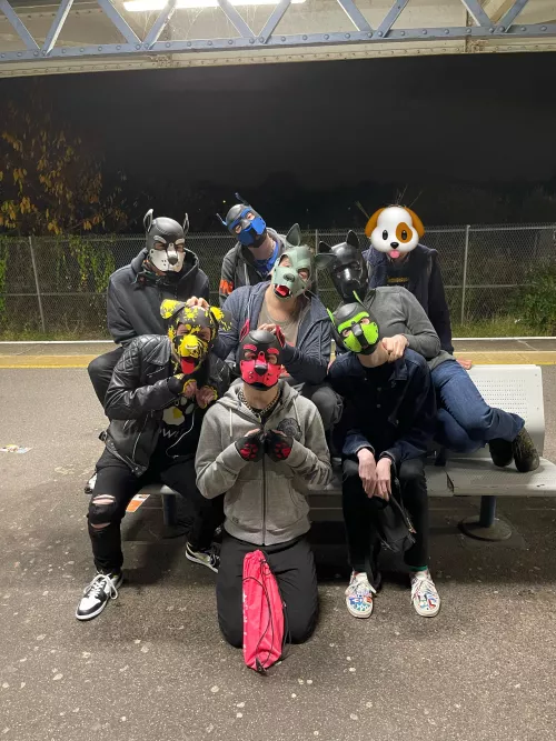 Who let the pups out? 😱