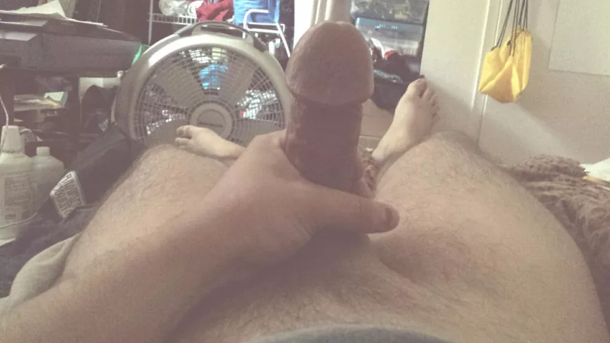 Who likes a thick cock with a big head? NSFW