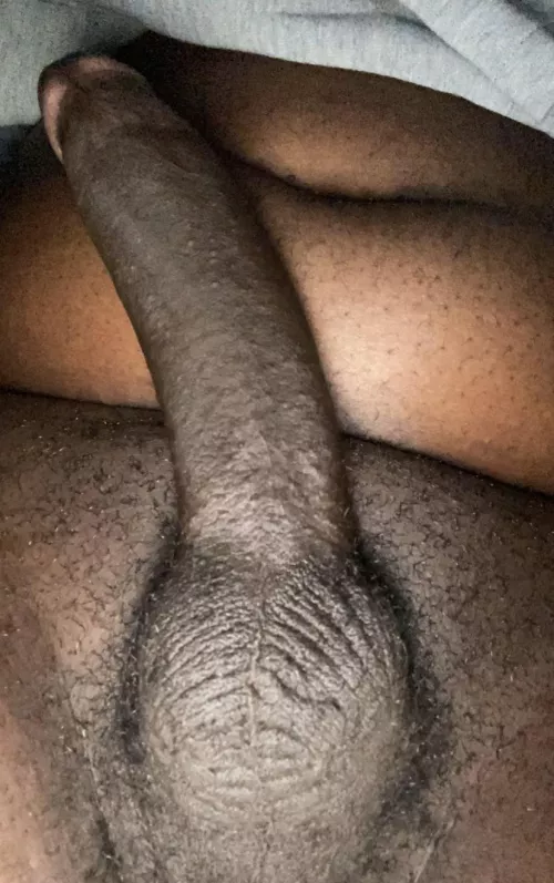 Who likes it? [M]