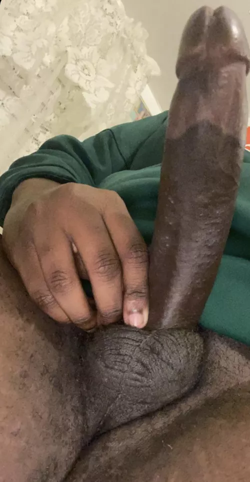 Who likes it? [M]