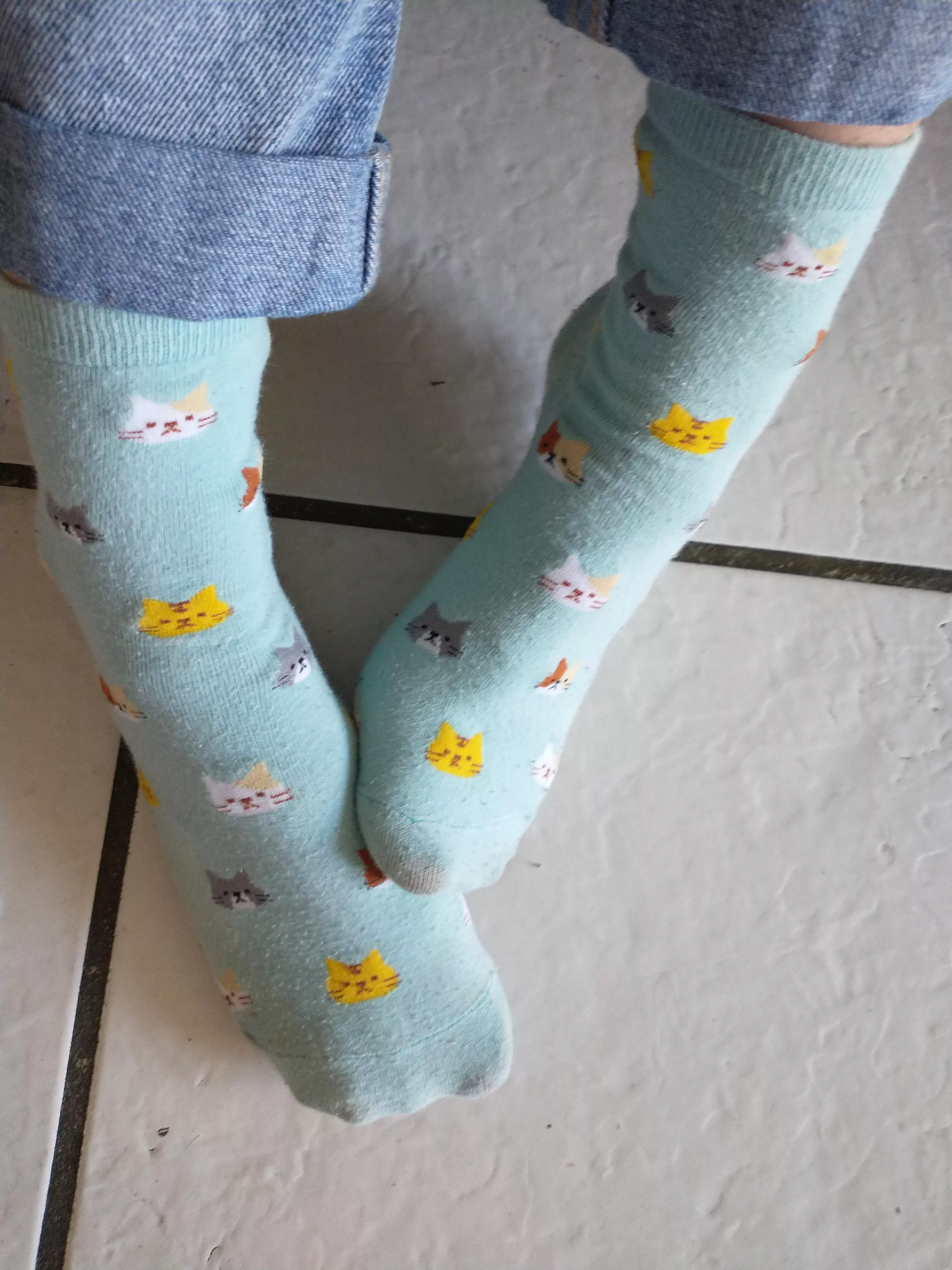 WHO LIKES MY FAVORITE CAT SOCKS