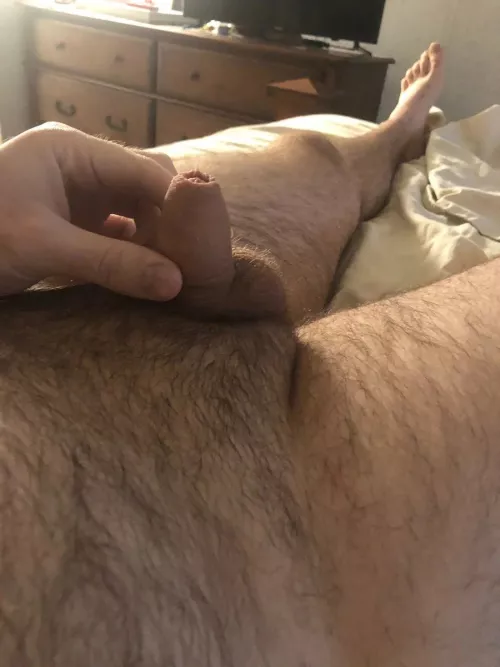 Who likes my semi?