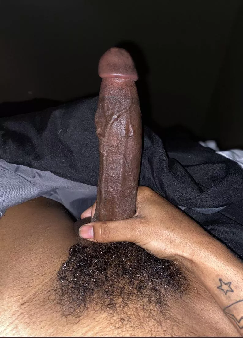 Who looking for a bull in Texas Who looking for a bull in Texas
