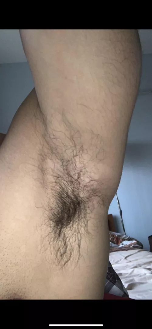 Who loves to sniff this