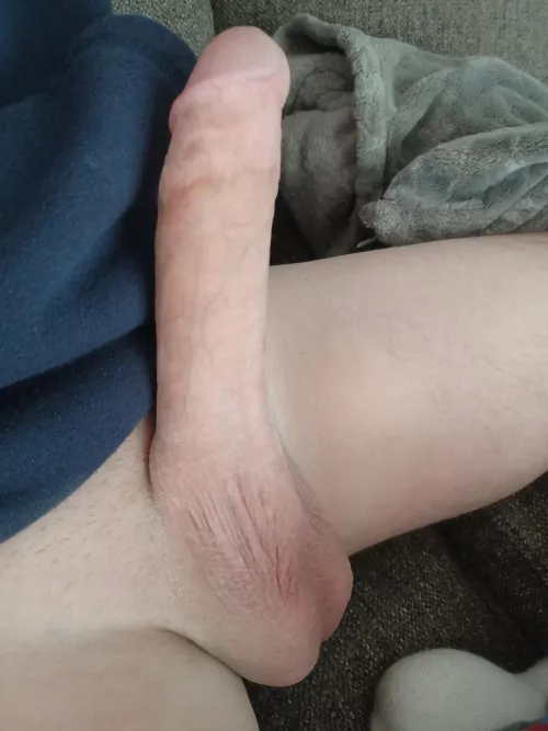 Who needs a morning stretch?