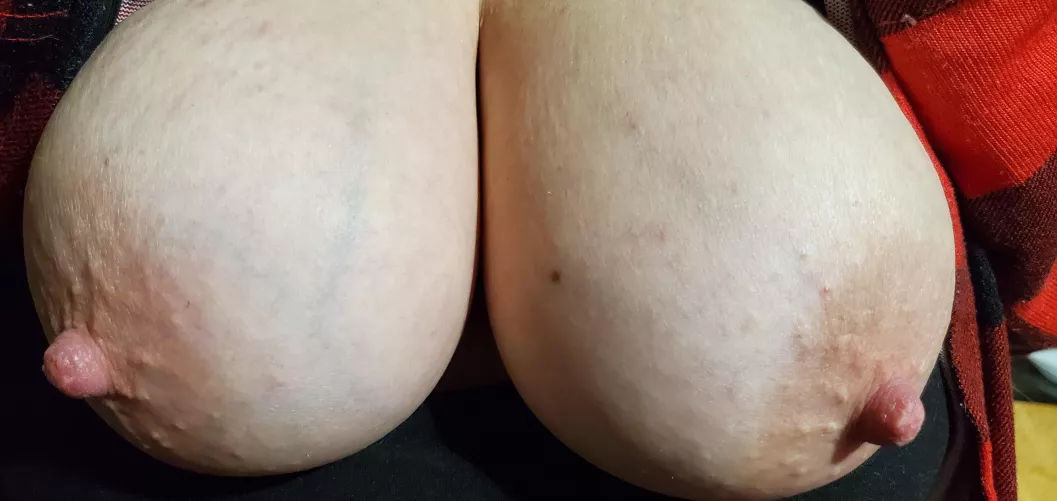 Who needs target practice?