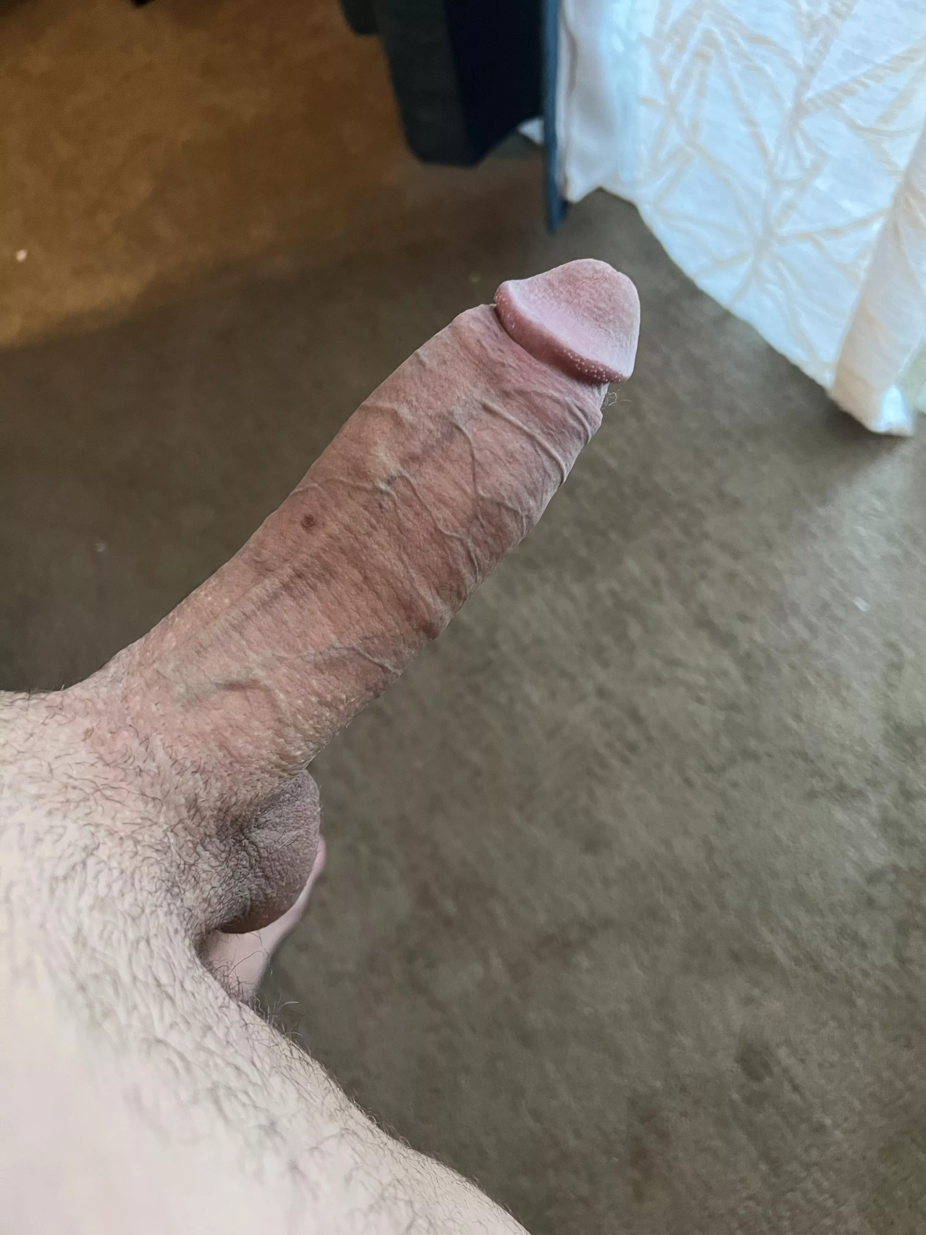 Who thinks they can handle this girth? 😈