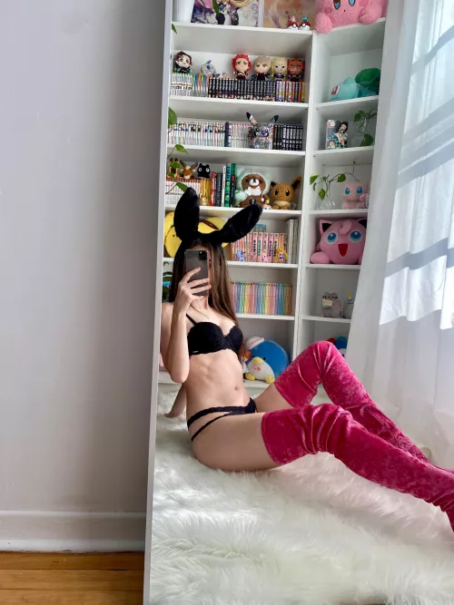 Who wants a bunny for Christmas?