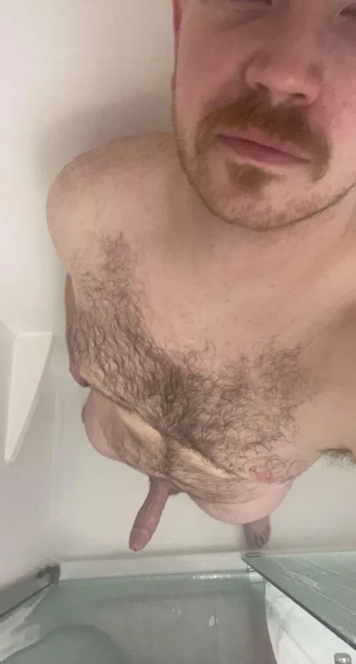 Who wants a chubby wv guy ?