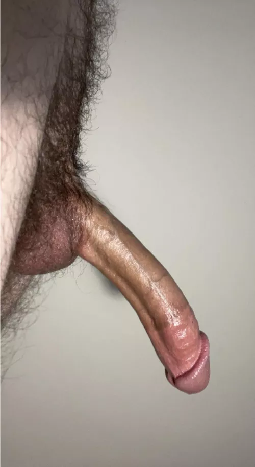 Who wants a mouth full of cock?