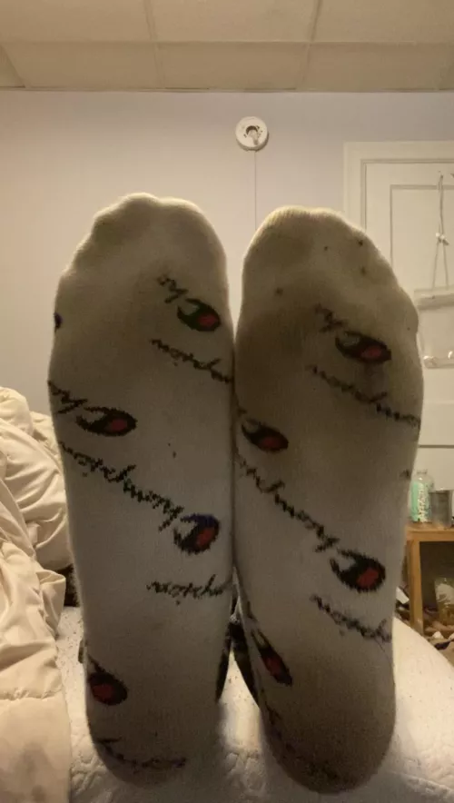 Who wants a sniff?