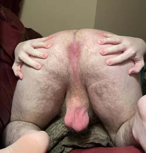 Who wants my big hairy ass?