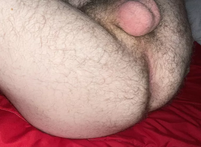 Who wants my fuzzy bum?